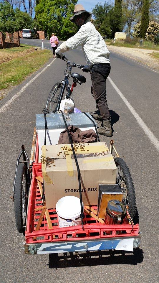 me with bike trailer