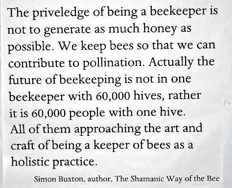 quote from shamanic beek